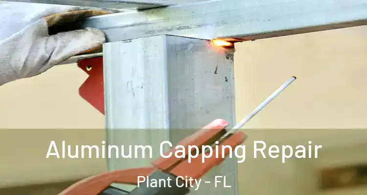 Aluminum Capping Repair Plant City - FL
