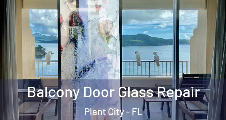 Balcony Door Glass Repair Plant City - FL