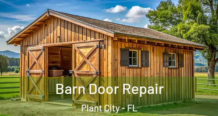 Barn Door Repair Plant City - FL