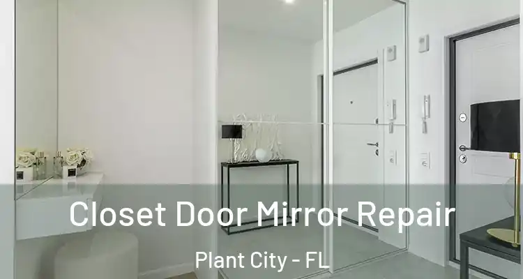 Closet Door Mirror Repair Plant City - FL