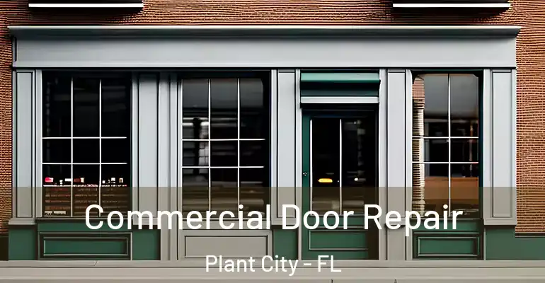  Commercial Door Repair Plant City - FL