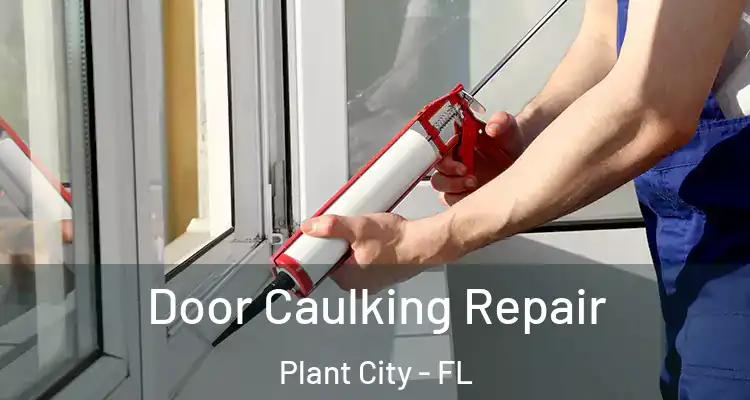 Door Caulking Repair Plant City - FL