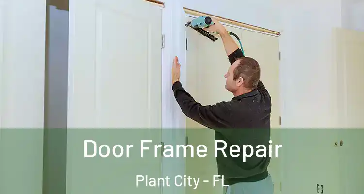 Door Frame Repair Plant City - FL
