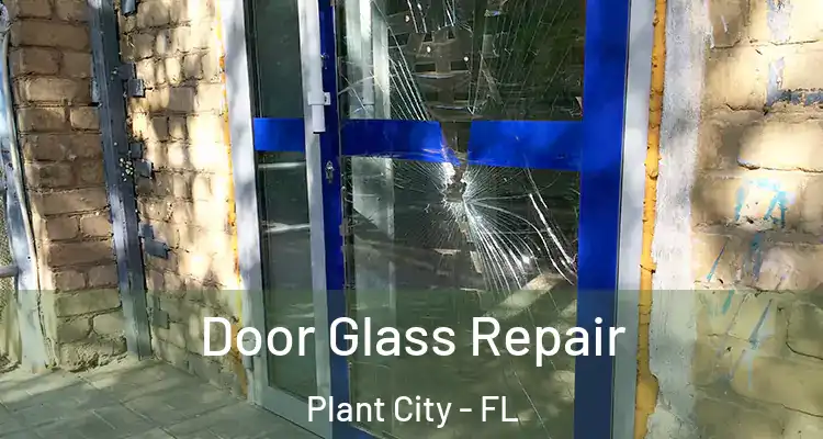 Door Glass Repair Plant City - FL