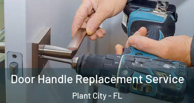  Door Handle Replacement Service Plant City - FL