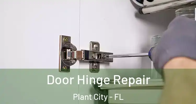 Door Hinge Repair Plant City - FL