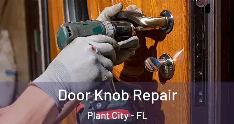 Door Knob Repair Plant City - FL