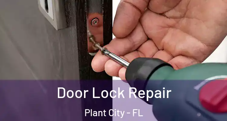 Door Lock Repair Plant City - FL