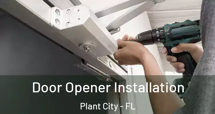 Door Opener Installation Plant City - FL