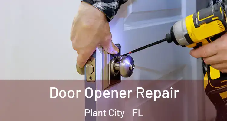 Door Opener Repair Plant City - FL