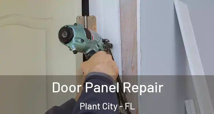 Door Panel Repair Plant City - FL