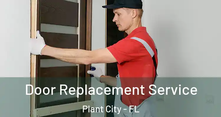 Door Replacement Service Plant City - FL