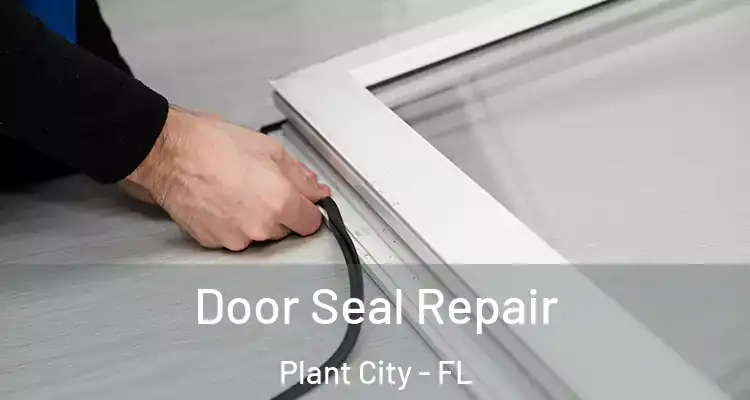 Door Seal Repair Plant City - FL