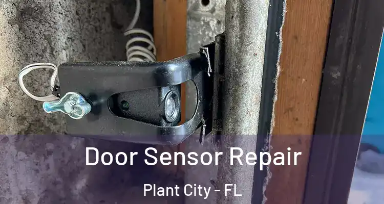 Door Sensor Repair Plant City - FL