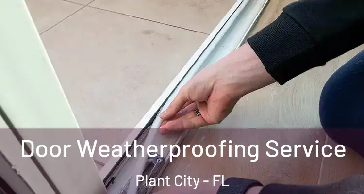 Door Weatherproofing Service Plant City - FL
