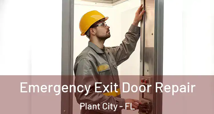 Emergency Exit Door Repair Plant City - FL
