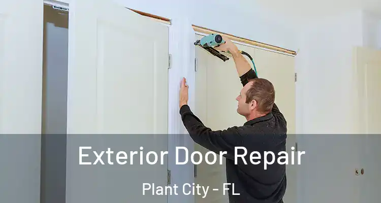 Exterior Door Repair Plant City - FL