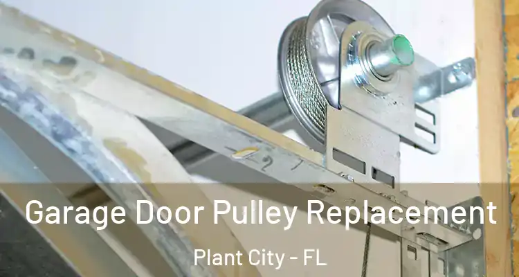 Garage Door Pulley Replacement Plant City - FL