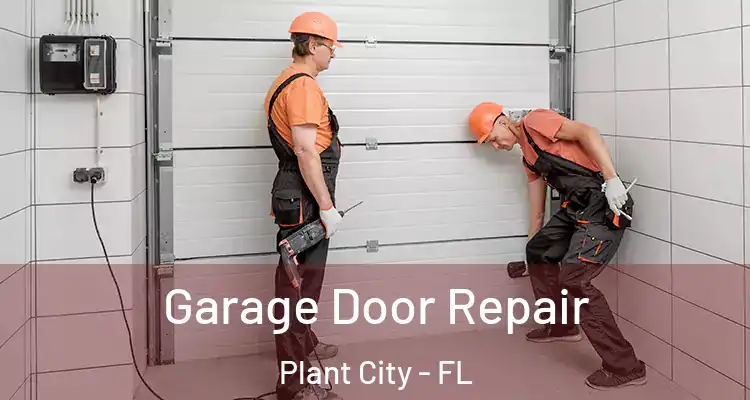 Garage Door Repair Plant City - FL
