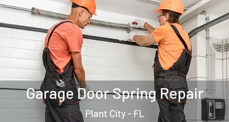 Garage Door Spring Repair Plant City - FL