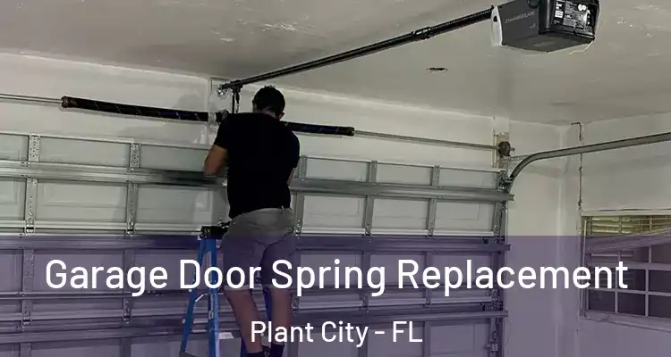 Garage Door Spring Replacement Plant City - FL