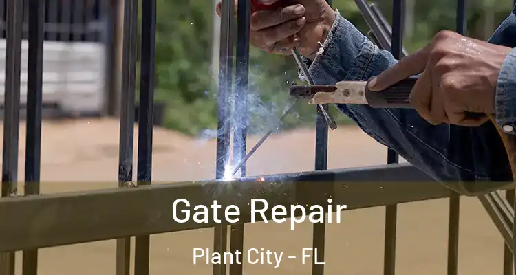 Gate Repair Plant City - FL