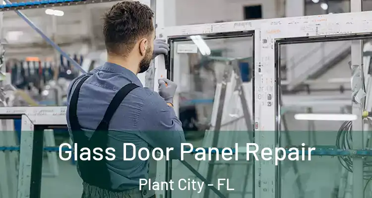Glass Door Panel Repair Plant City - FL