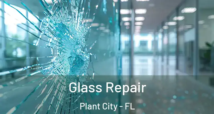 Glass Repair Plant City - FL