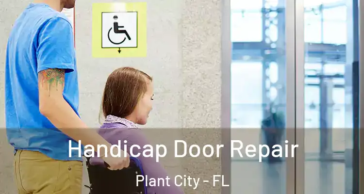 Handicap Door Repair Plant City - FL