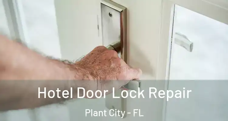 Hotel Door Lock Repair Plant City - FL
