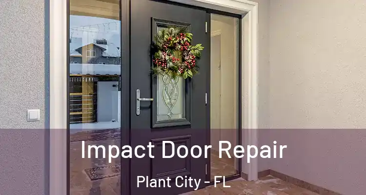 Impact Door Repair Plant City - FL