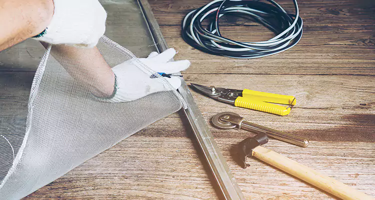 Our Pool Enclosure Mesh Repair Services in Plant City, FL