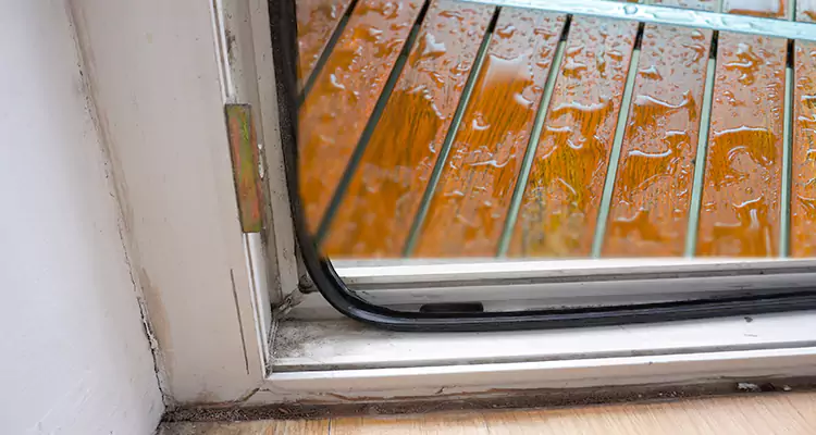 Water Leaking Wooden Patio Doors Repair in Plant City, FL
