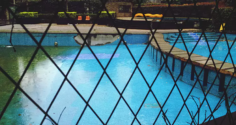 Lanai Screen Repair in Plant City, FL