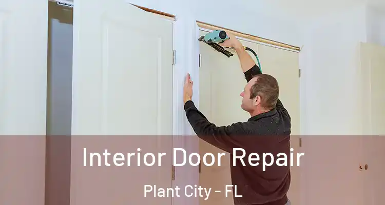  Interior Door Repair Plant City - FL