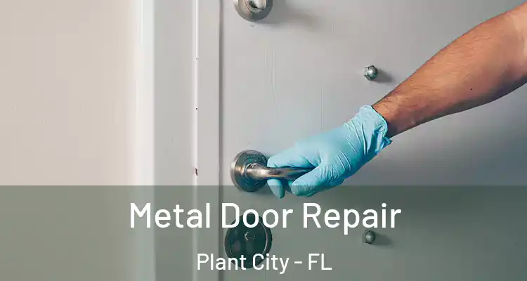  Metal Door Repair Plant City - FL