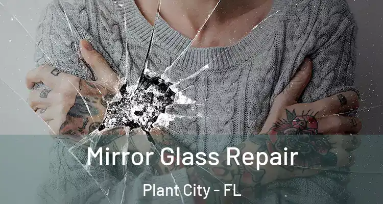 Mirror Glass Repair Plant City - FL