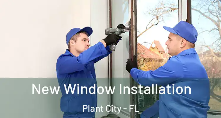  New Window Installation Plant City - FL