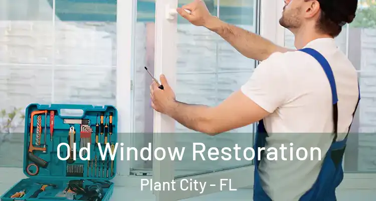  Old Window Restoration Plant City - FL