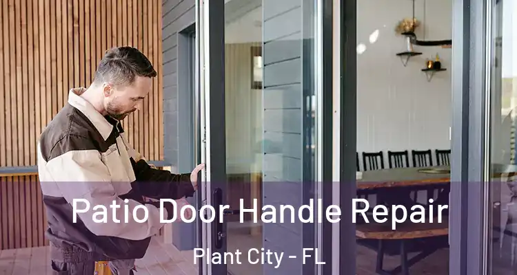 Patio Door Handle Repair Plant City - FL