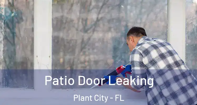  Patio Door Leaking Plant City - FL