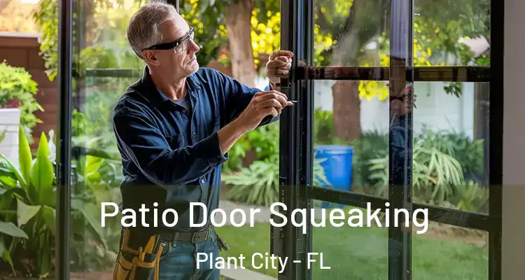 Patio Door Squeaking Plant City - FL