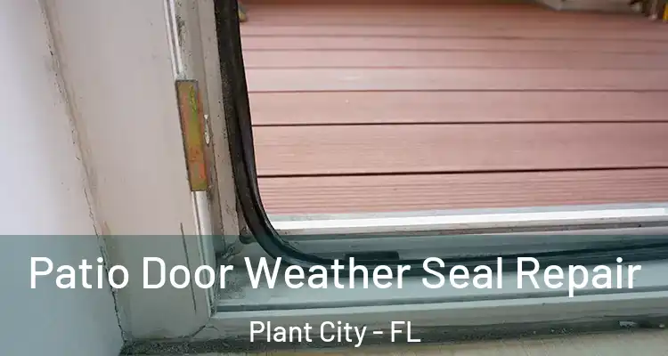 Patio Door Weather Seal Repair Plant City - FL