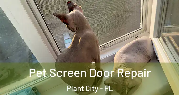 Pet Screen Door Repair Plant City - FL