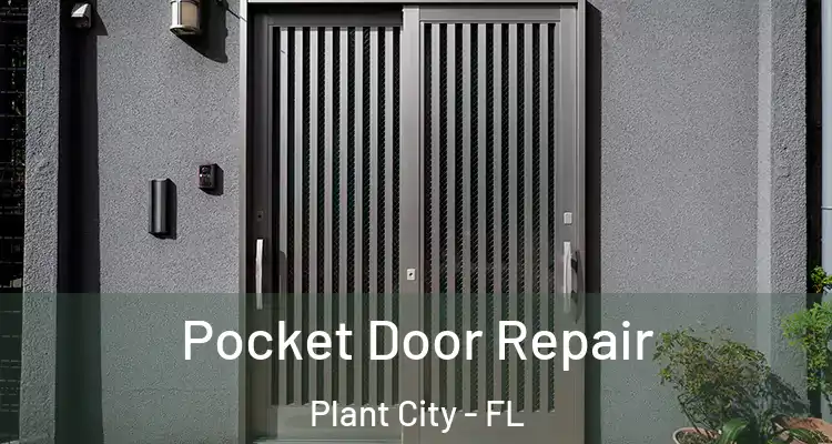 Pocket Door Repair Plant City - FL