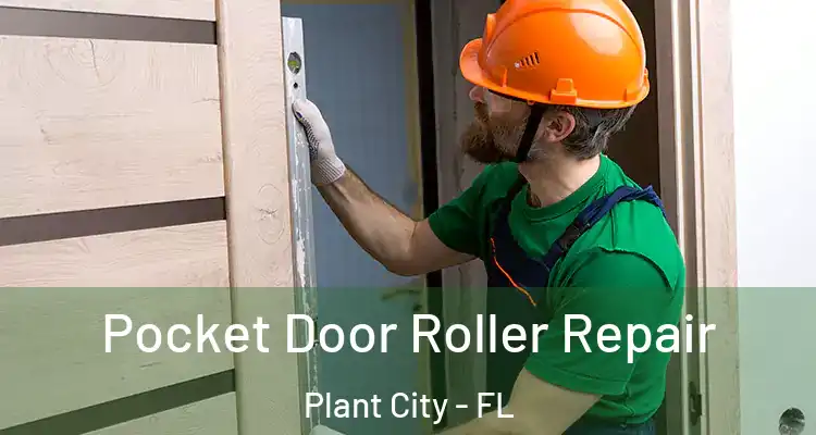 Pocket Door Roller Repair Plant City - FL