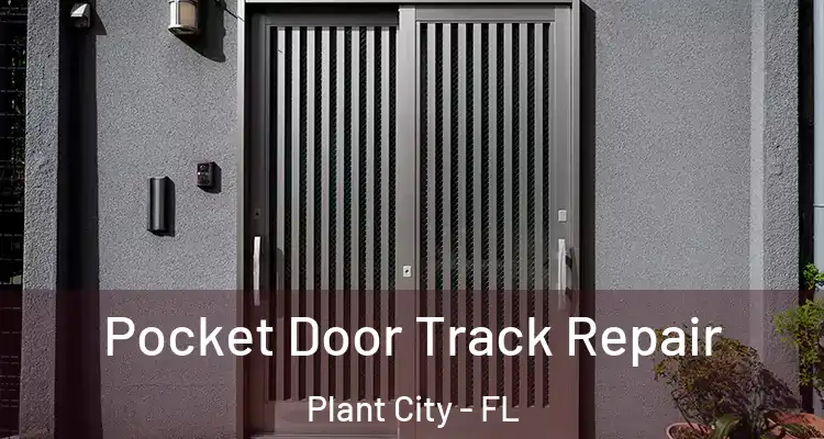 Pocket Door Track Repair Plant City - FL