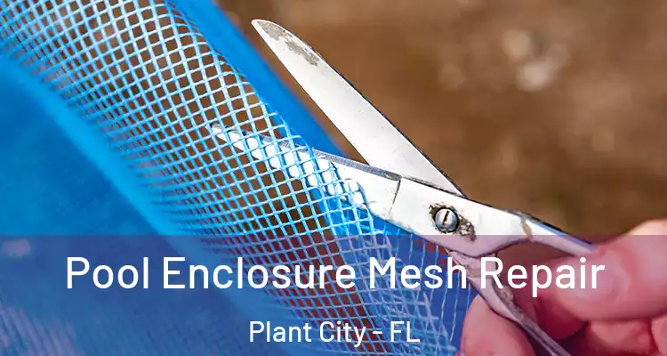 Pool Enclosure Mesh Repair Plant City - FL