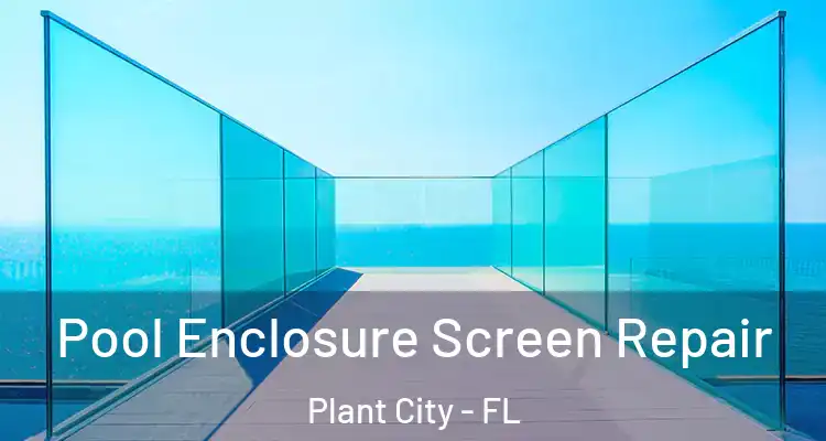 Pool Enclosure Screen Repair Plant City - FL