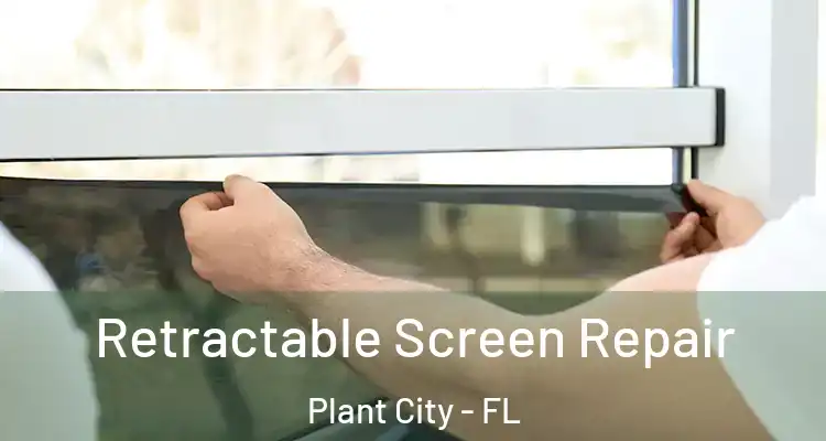 Retractable Screen Repair Plant City - FL